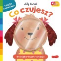 Książeczka Co czujesz? Akademia Mądrego Dziecka Książeczka Co czujesz? Akademia Mądrego Dziecka