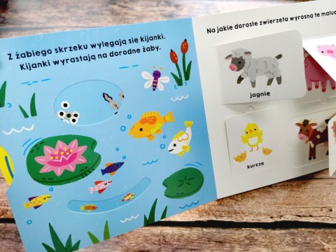 Książeczka Spójrz, jak rosnę! Akademia Mądrego Dziecka Książeczka Spójrz, jak rosnę! Akademia Mądrego Dziecka