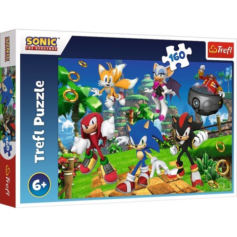 Puzzle 160 elementów Sonic i przyjaciele Puzzle 160 elementów Sonic i przyjaciele