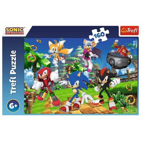 Puzzle 160 elementów Sonic i przyjaciele Puzzle 160 elementów Sonic i przyjaciele