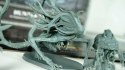 Gra BloodBorne: Sen Tropiciela Gra BloodBorne: Sen Tropiciela