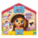 Maskotka interaktywna Little Live Pets Piesek z Domkiem Maskotka interaktywna Little Live Pets Piesek z Domkiem