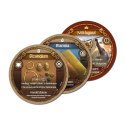 Gra Pax Viking (PL) Gra Pax Viking (PL)