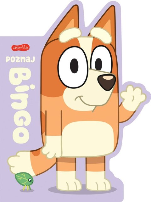 Książeczka Poznaj Bingo. Książeczki kartonowe Książeczka Poznaj Bingo. Książeczki kartonowe
