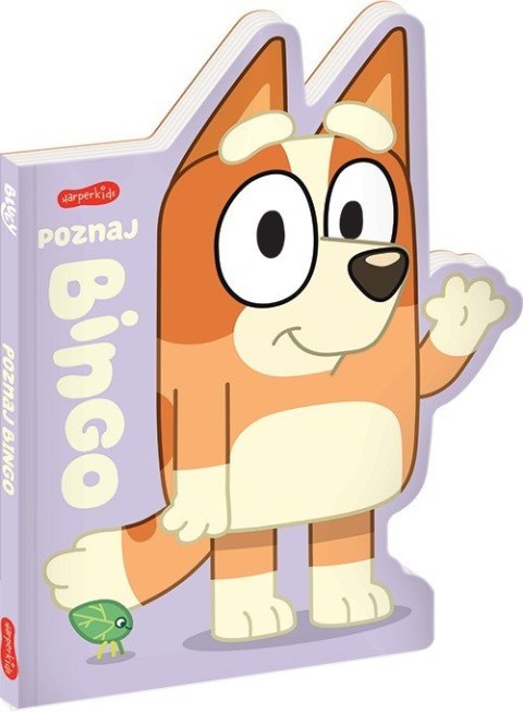 Książeczka Poznaj Bingo. Książeczki kartonowe Książeczka Poznaj Bingo. Książeczki kartonowe