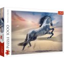 Puzzle 1000 elementów Majestatyczny koń Puzzle 1000 elementów Majestatyczny koń