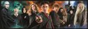 Puzzle 1000 elementów Panorama Compact Harry Potter Puzzle 1000 elementów Panorama Compact Harry Potter