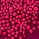 Zestaw Slime DIY Magic pink XL Zestaw Slime DIY Magic pink XL