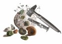 Zestaw naukowy Skamieliny i Minerały Zestaw naukowy Skamieliny i Minerały