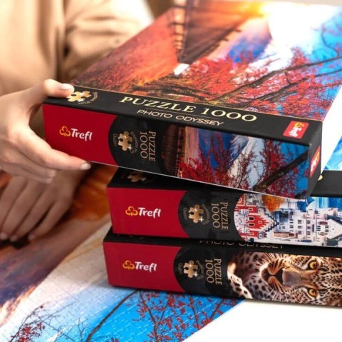 Puzzle 1000 elementów Premium Mała Wenecja Colmar Francja Puzzle 1000 elementów Premium Mała Wenecja Colmar Francja