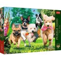 Puzzle 1000 elementów Premium Plus Tea Time Nadchodzą kłopoty! Puzzle 1000 elementów Premium Plus Tea Time Nadchodzą kłopoty!
