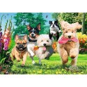 Puzzle 1000 elementów Premium Plus Tea Time Nadchodzą kłopoty! Puzzle 1000 elementów Premium Plus Tea Time Nadchodzą kłopoty!