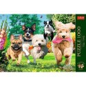 Puzzle 1000 elementów Premium Plus Tea Time Nadchodzą kłopoty! Puzzle 1000 elementów Premium Plus Tea Time Nadchodzą kłopoty!