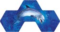 Gra Aqua (edycja polska) Gra Aqua (edycja polska)
