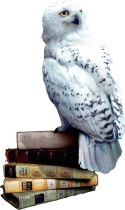 Gra Harry Potter i Czytacz Myśli Gra Harry Potter i Czytacz Myśli