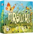 Gra Mrówki - Kolejno odlicz! Gra Mrówki - Kolejno odlicz!