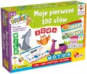 Zestaw edukacyjny Carotina Moje pierwsze 100 słów Zestaw edukacyjny Carotina Moje pierwsze 100 słów