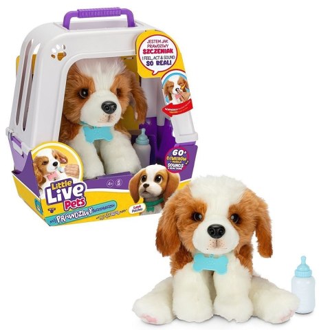 Maskotka interaktywna Little Live Pets - Piesek z transporterem Maskotka interaktywna Little Live Pets - Piesek z transporterem