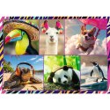 Puzzle 4x250 elementów Zabawne zwierzaki Puzzle 4x250 elementów Zabawne zwierzaki