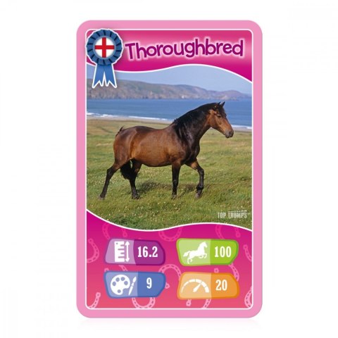 Gra karciana Top Trumps Konie, Kucyki i Jednorożce Gra karciana Top Trumps Konie, Kucyki i Jednorożce
