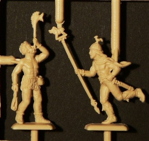 Gauls Warriors Gauls Warriors