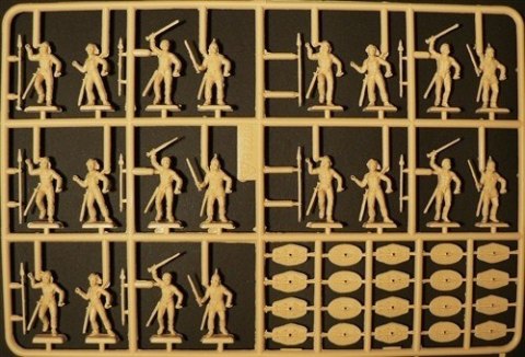 Gauls Warriors Gauls Warriors