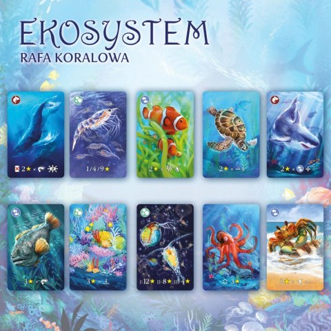 Gra Eko system 2 Rafa koralowa Gra Eko system 2 Rafa koralowa