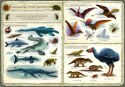 Książeczka Opowiem ci, mamo, co robią dinozaury Książeczka Opowiem ci, mamo, co robią dinozaury