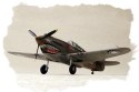 Model plastikowy P-40B/C Hawk- 81 Model plastikowy P-40B/C Hawk- 81