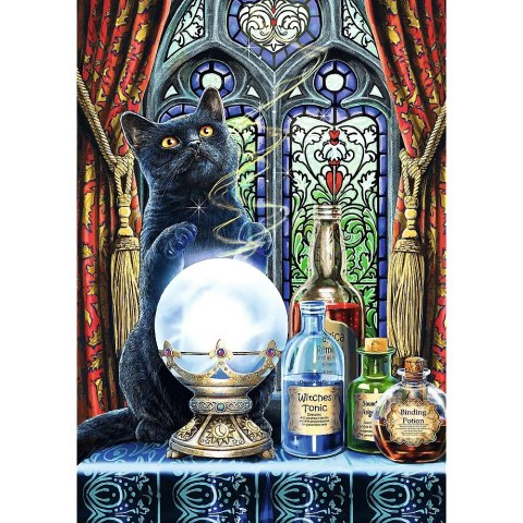 Puzzle 1000 elementów Premium Uczeń czarownicy Lisa Parker Puzzle 1000 elementów Premium Uczeń czarownicy Lisa Parker