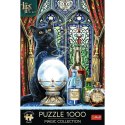 Puzzle 1000 elementów Premium Uczeń czarownicy Lisa Parker Puzzle 1000 elementów Premium Uczeń czarownicy Lisa Parker