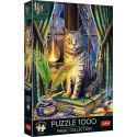 Puzzle 1000 elementów Premium Księga Cieni Lisa Parker Puzzle 1000 elementów Premium Księga Cieni Lisa Parker