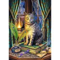 Puzzle 1000 elementów Premium Księga Cieni Lisa Parker Puzzle 1000 elementów Premium Księga Cieni Lisa Parker