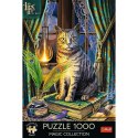 Puzzle 1000 elementów Premium Księga Cieni Lisa Parker Puzzle 1000 elementów Premium Księga Cieni Lisa Parker