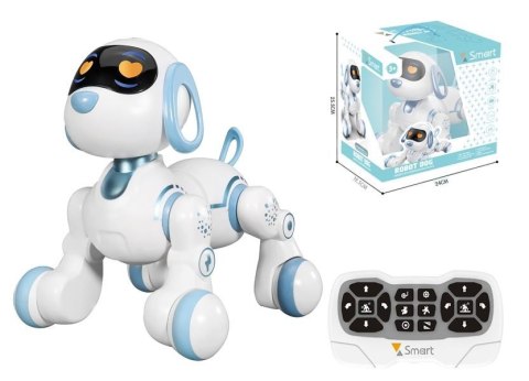 Cyber pies R/C Cyber pies R/C