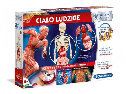 Ciało ludzkie Ciało ludzkie